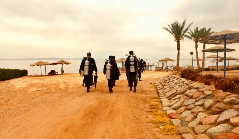 19488777 651801121682470 3072837575040814622 o