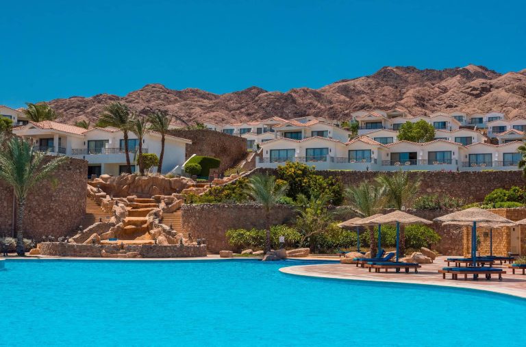 335810166_242134064834267_4499164452989548840_n