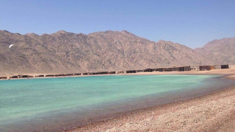 WhatsApp Image 2025-12-18 at 11.26.31 AM